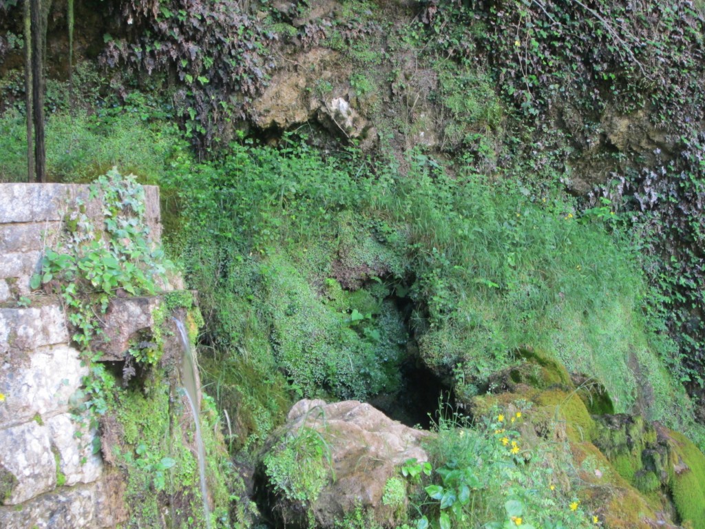Foto de Covadonga (Asturias), España