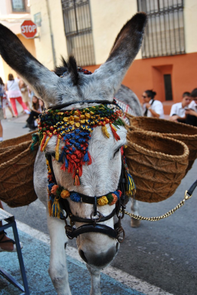 Foto de Caudete (Albacete), España