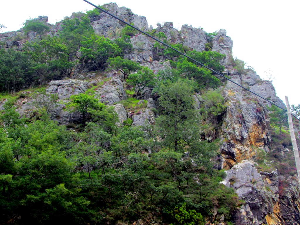 Foto de Desfiladero de los Beyos (León), España