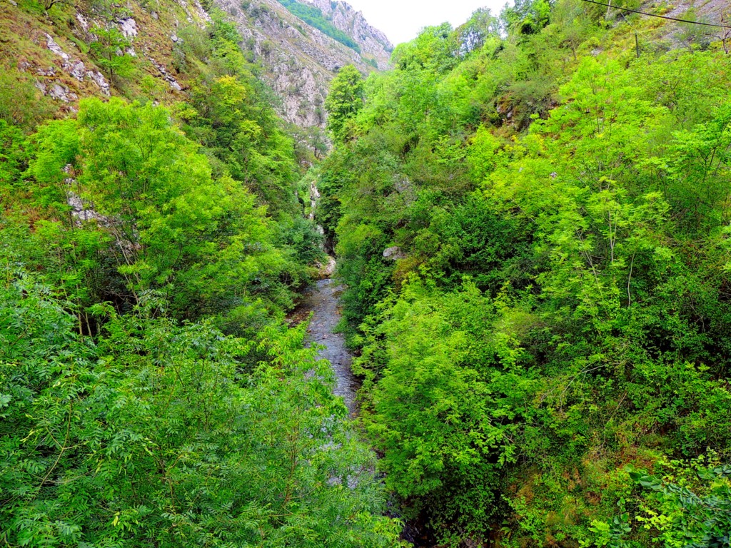 Foto de Desfiladero de los Beyos (Asturias), España