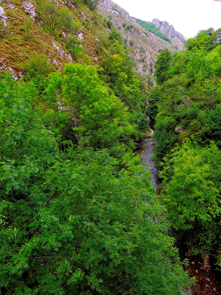 Foto de Desfiladero de los Beyos (León), España
