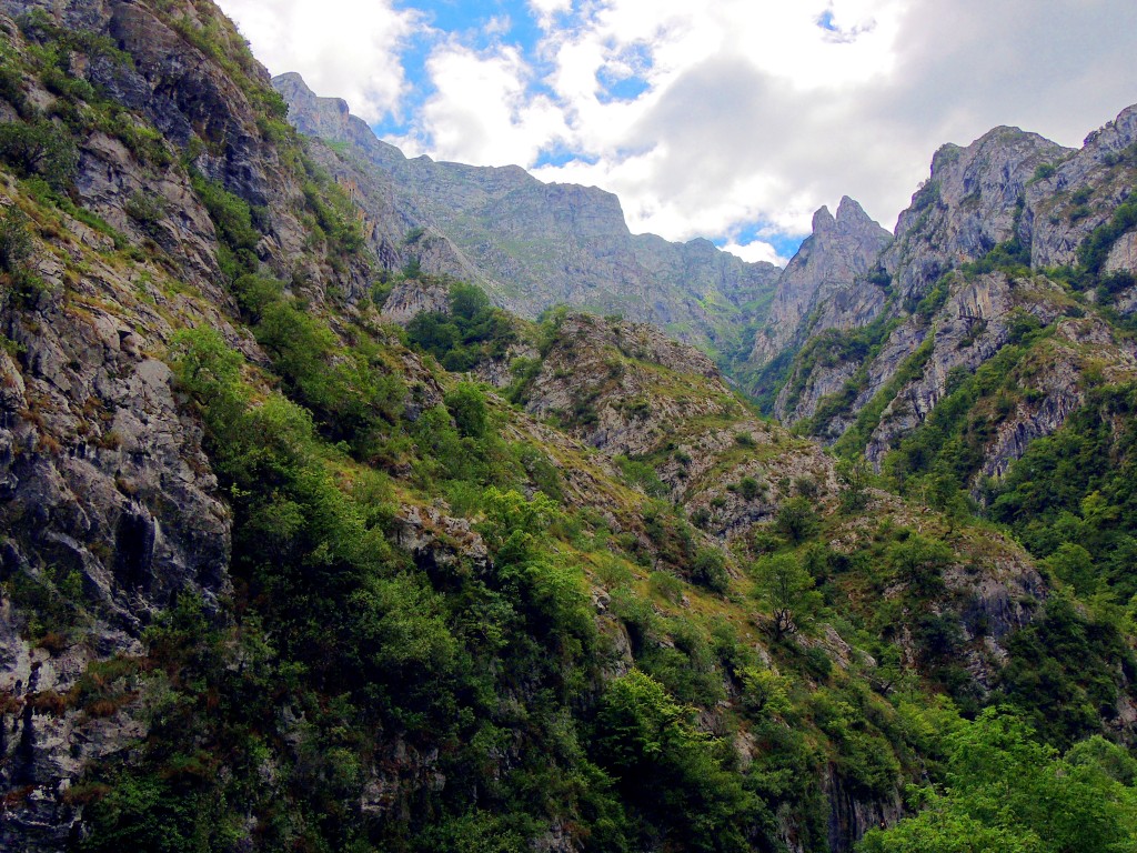 Foto de Desfiladero de los Beyos (Asturias), España