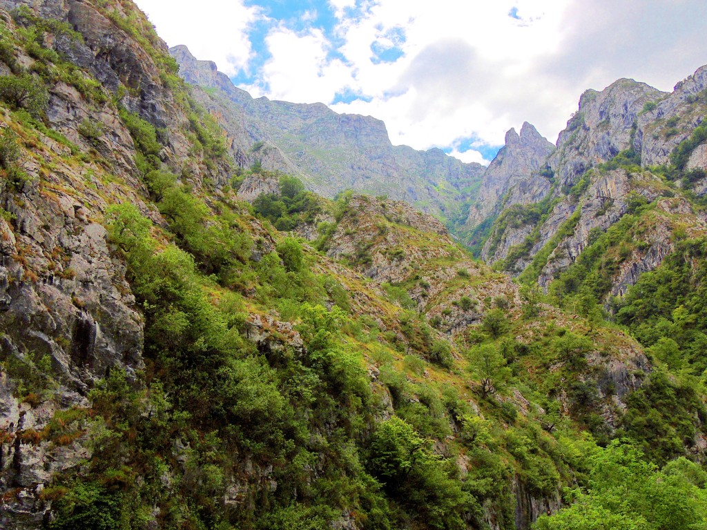 Foto de Desfiladero de los Beyos (Asturias), España