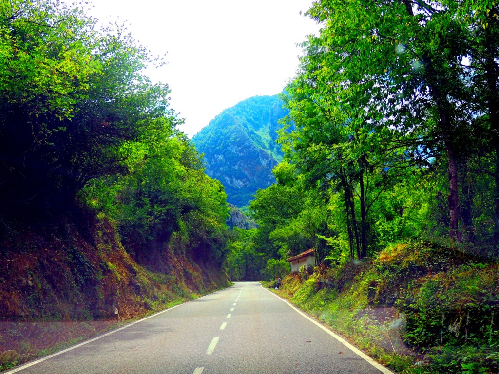Foto de Desfiladero de los Beyos (Asturias), España