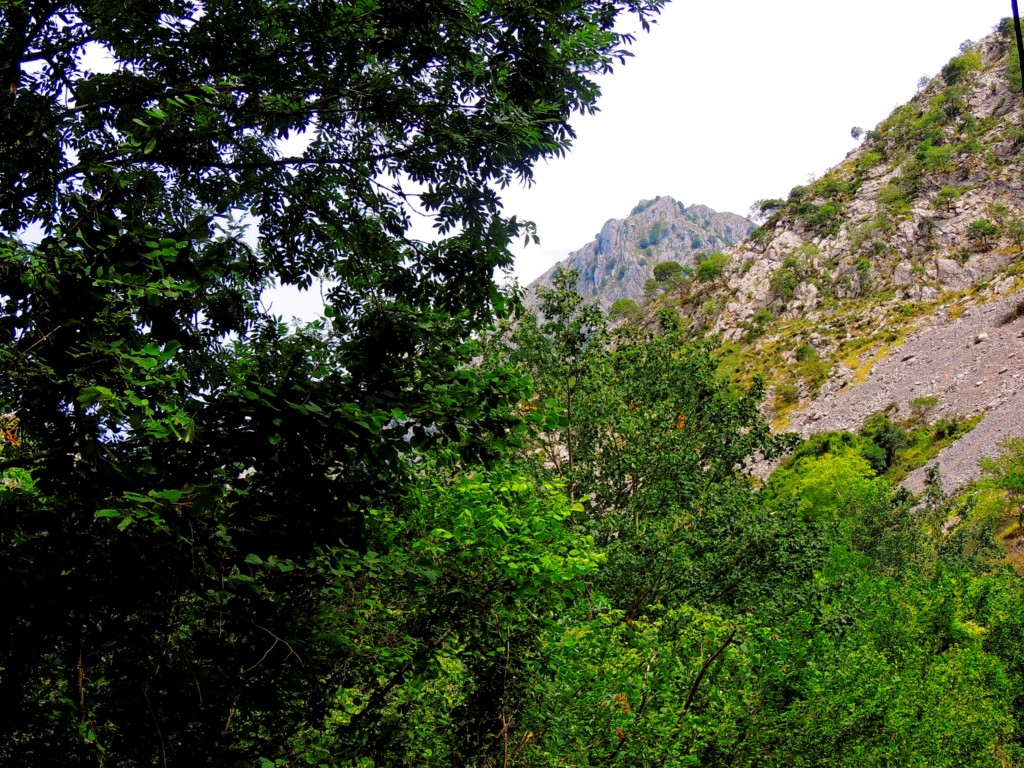 Foto de Desfiladero de los Beyos (Asturias), España