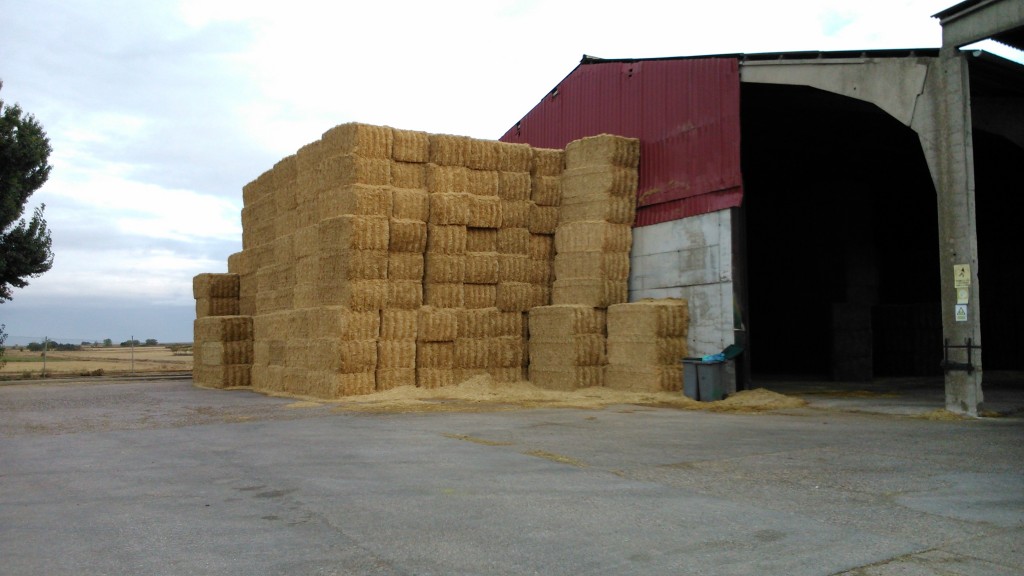 Foto de Becerril de Campos (Palencia), España
