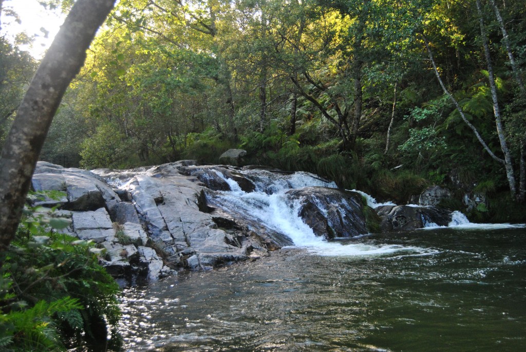 Foto de Melon (Ourense), España