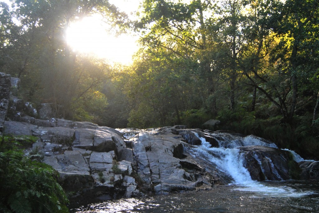 Foto de Melon (Ourense), España