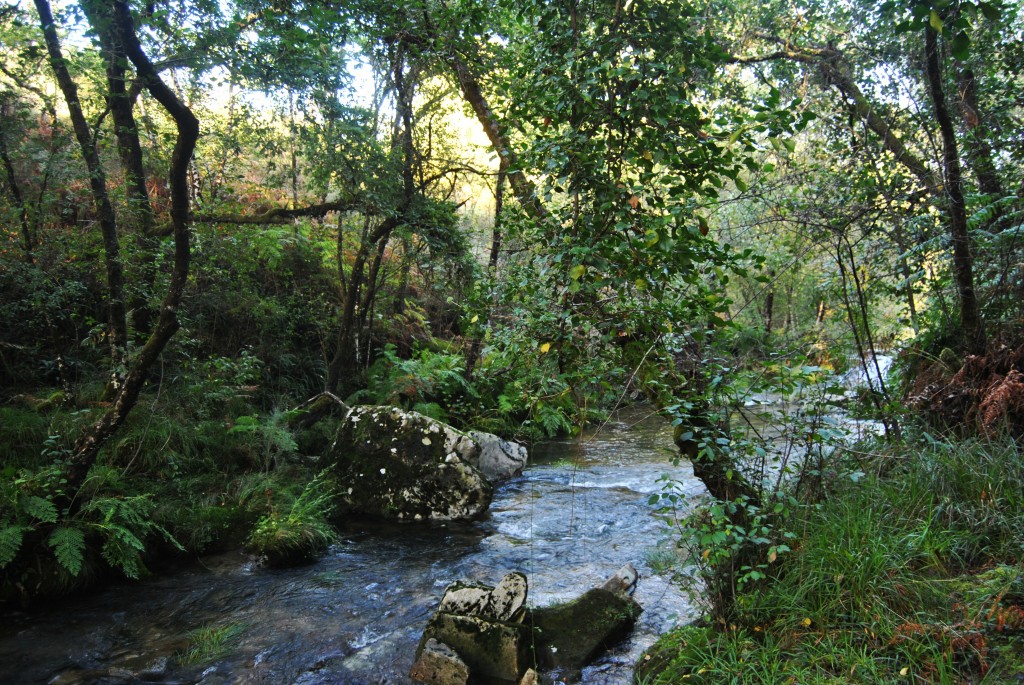 Foto de Melon (Ourense), España