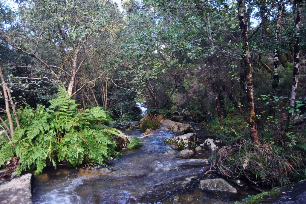 Foto de Melon (Ourense), España