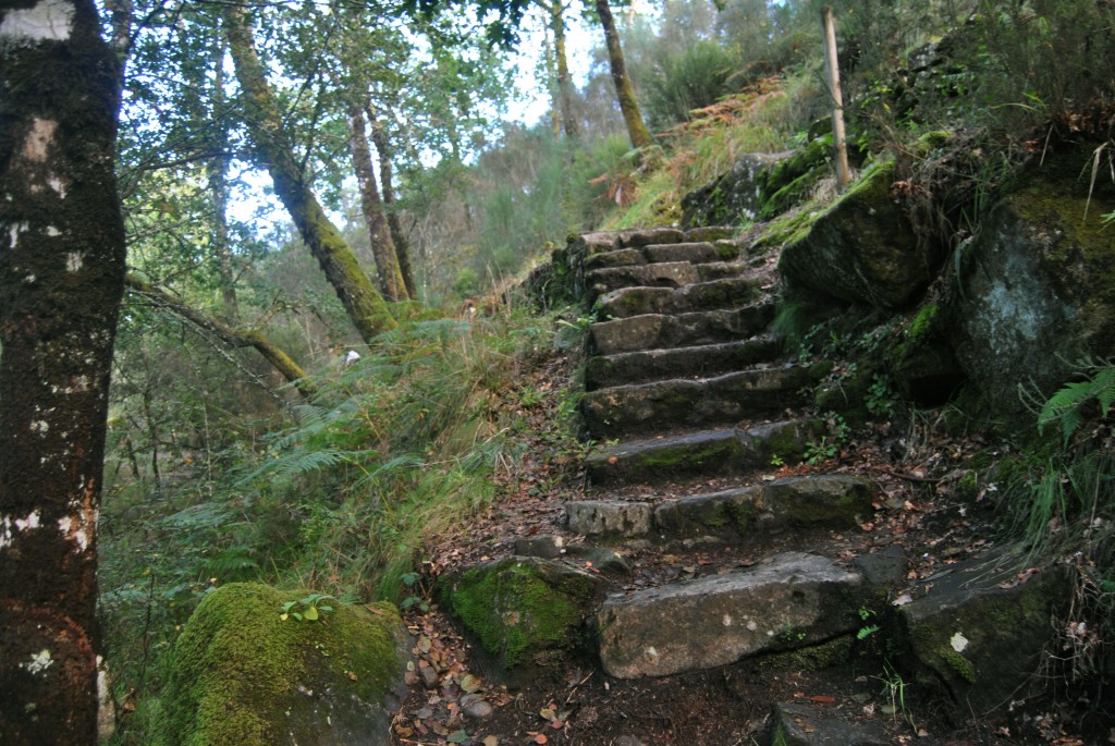 Foto de Melon (Ourense), España