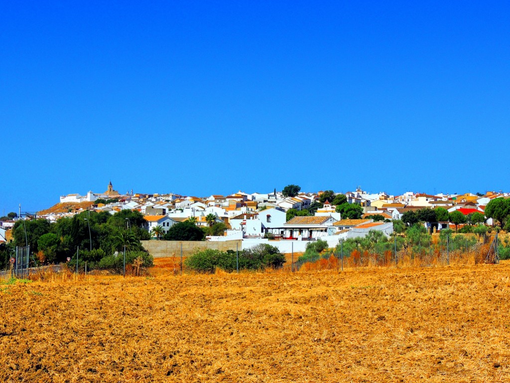 Foto: Panorámica - Gerena (Sevilla), España