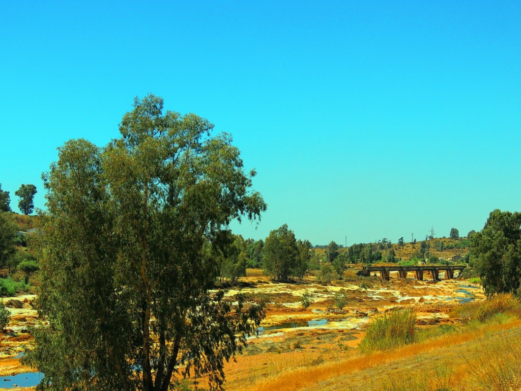 Foto de Niebla (Huelva), España