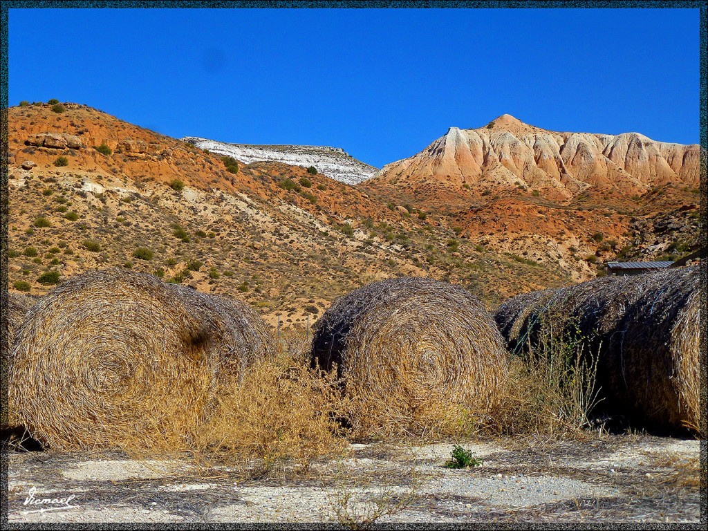 Foto: 140901-04 ARCOS DE JALON - Arcos De Jalon (Soria), España