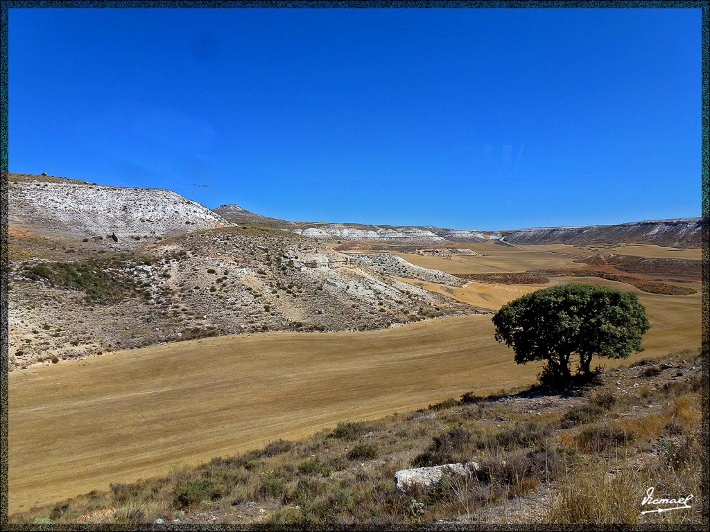 Foto: 140901-29 ARCOS DE JALON - Arcos De Jalon (Soria), España