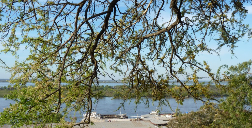 Foto: Costanera - Paraná (Entre Ríos), Argentina