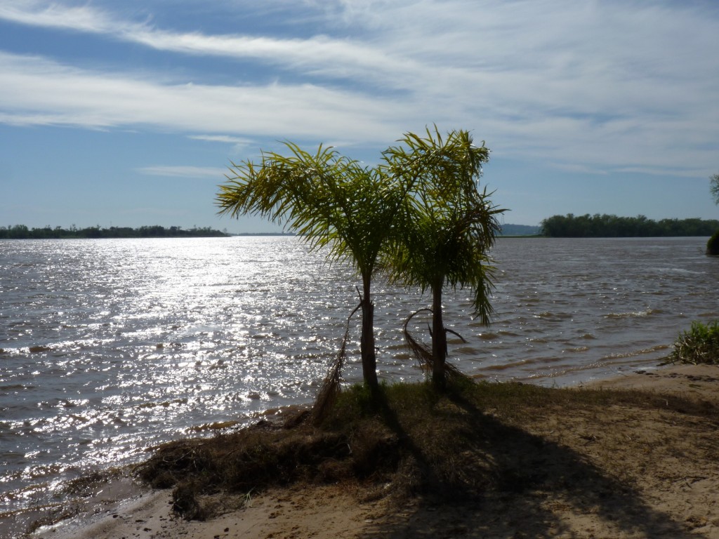 Foto: Costanera - Paraná (Entre Ríos), Argentina