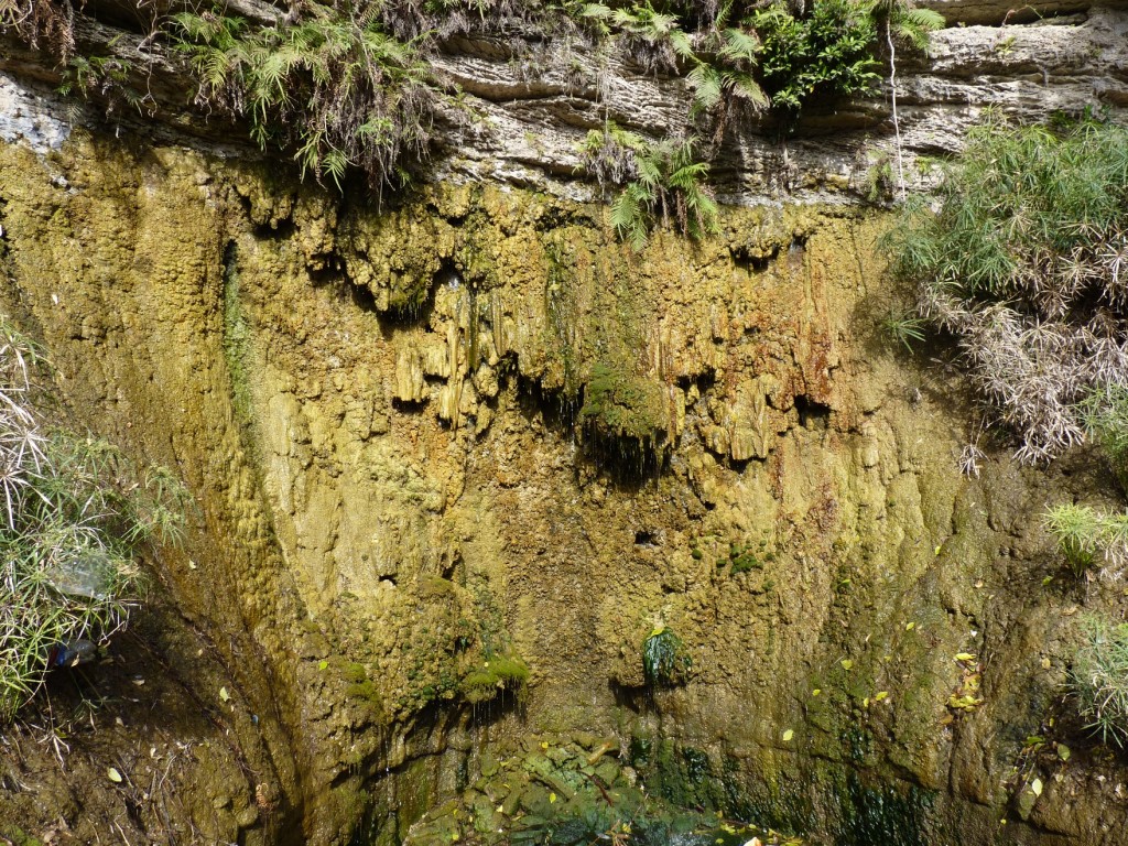 Foto: Parque Urquiza - Paraná (Entre Ríos), Argentina