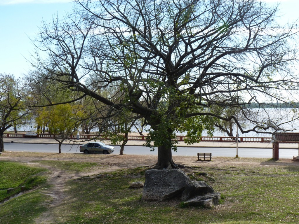 Foto: Parque Urquiza - Paraná (Entre Ríos), Argentina