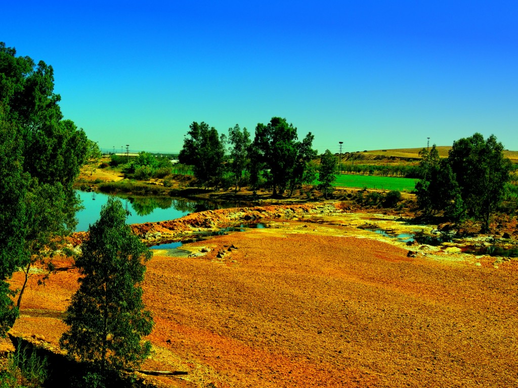 Foto de Niebla (Huelva), España