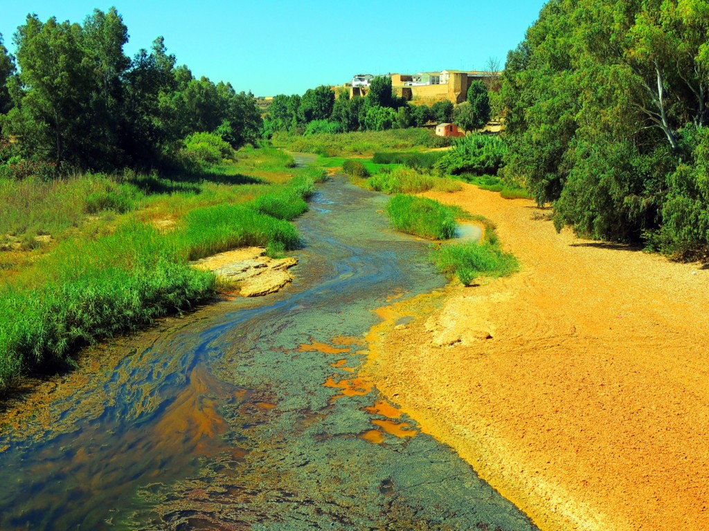 Foto de Niebla (Huelva), España