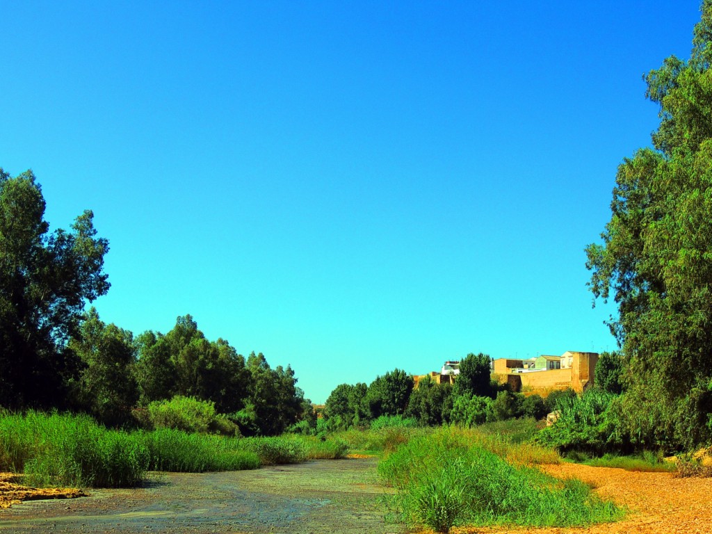 Foto de Niebla (Huelva), España