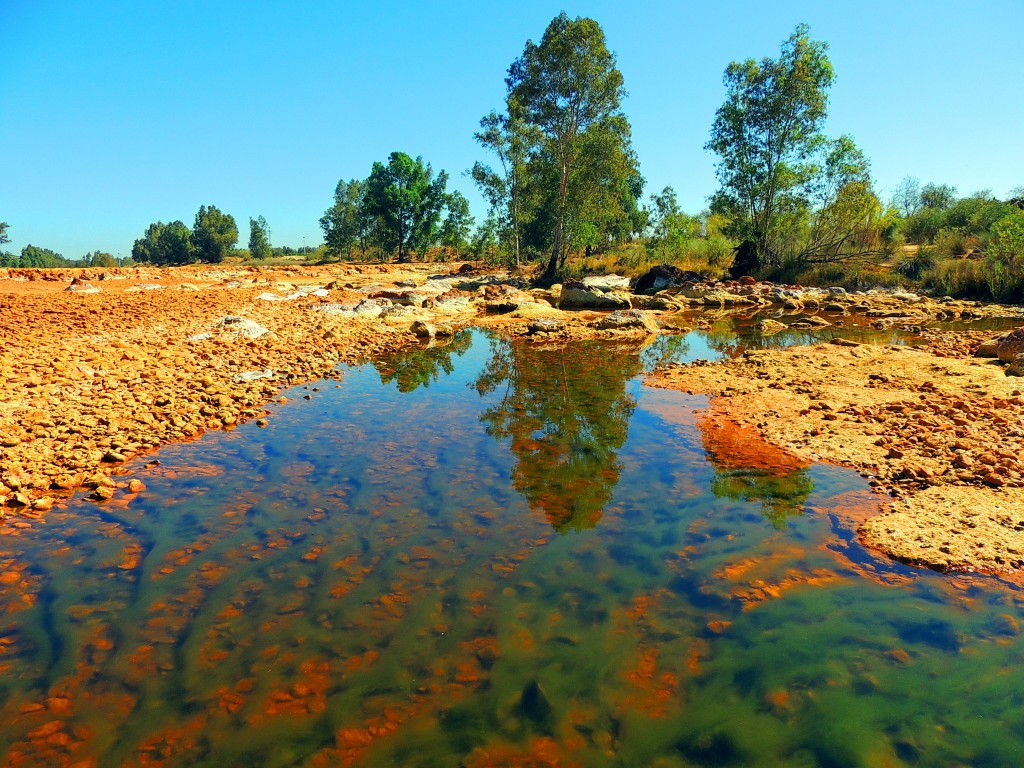 Foto de Niebla (Huelva), España