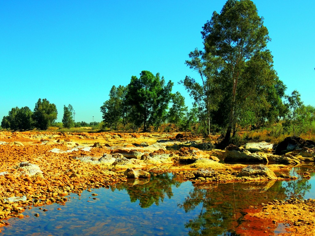 Foto de Niebla (Huelva), España