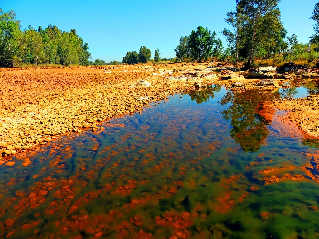 Foto de Niebla (Huelva), España