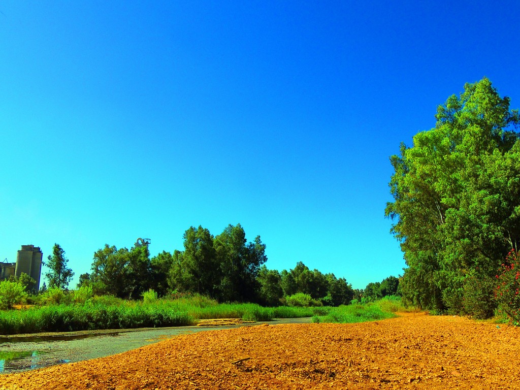 Foto de Niebla (Huelva), España