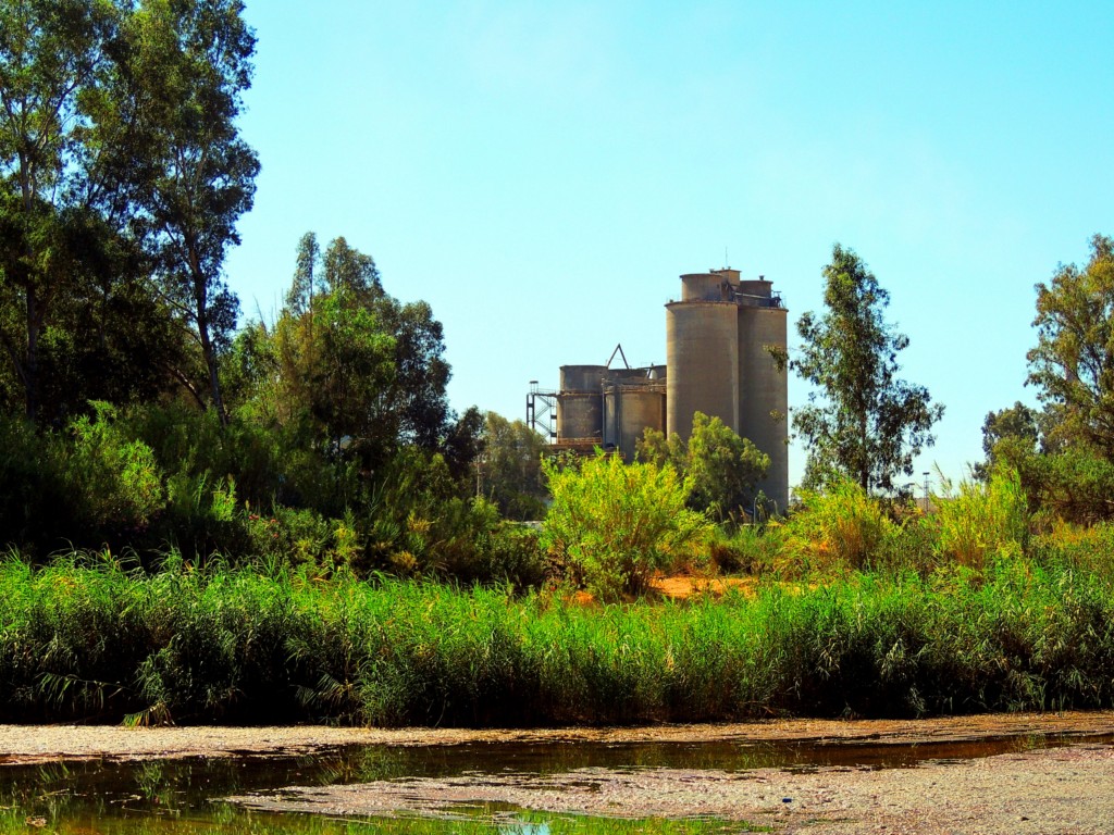 Foto de Niebla (Huelva), España