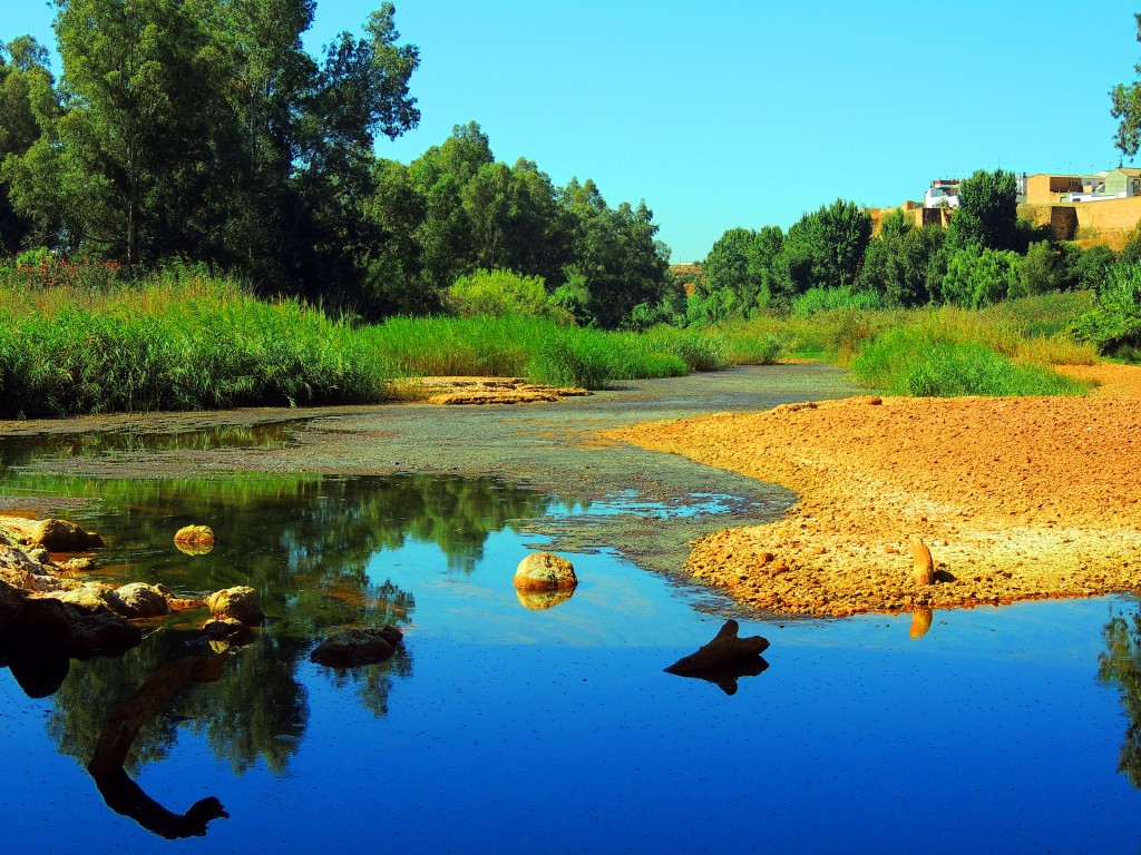 Foto de Niebla (Huelva), España