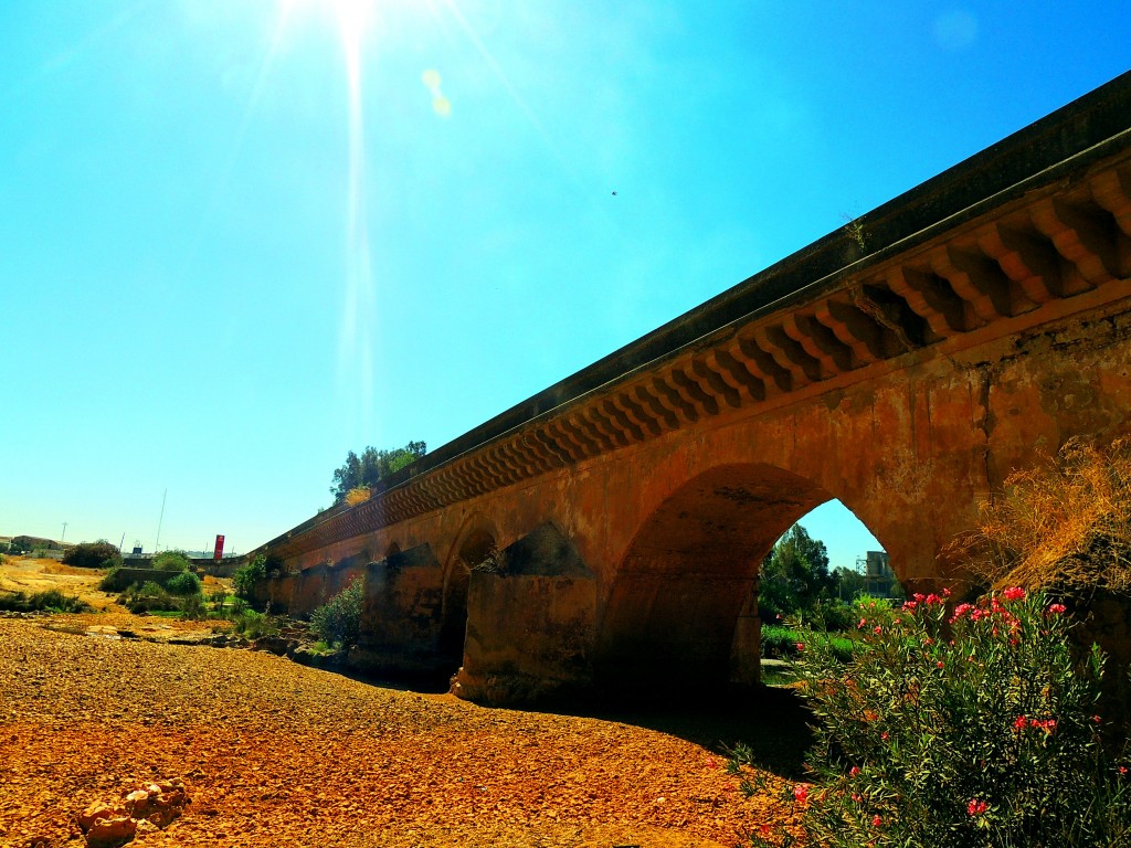 Foto de Niebla (Huelva), España