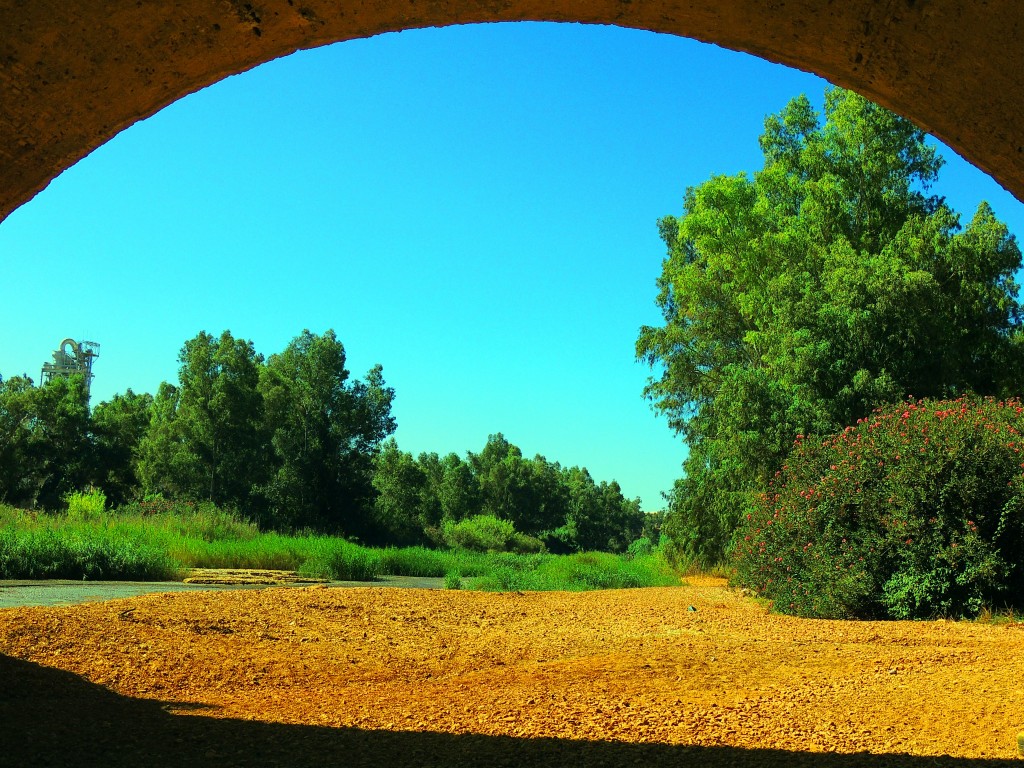 Foto de Niebla (Huelva), España