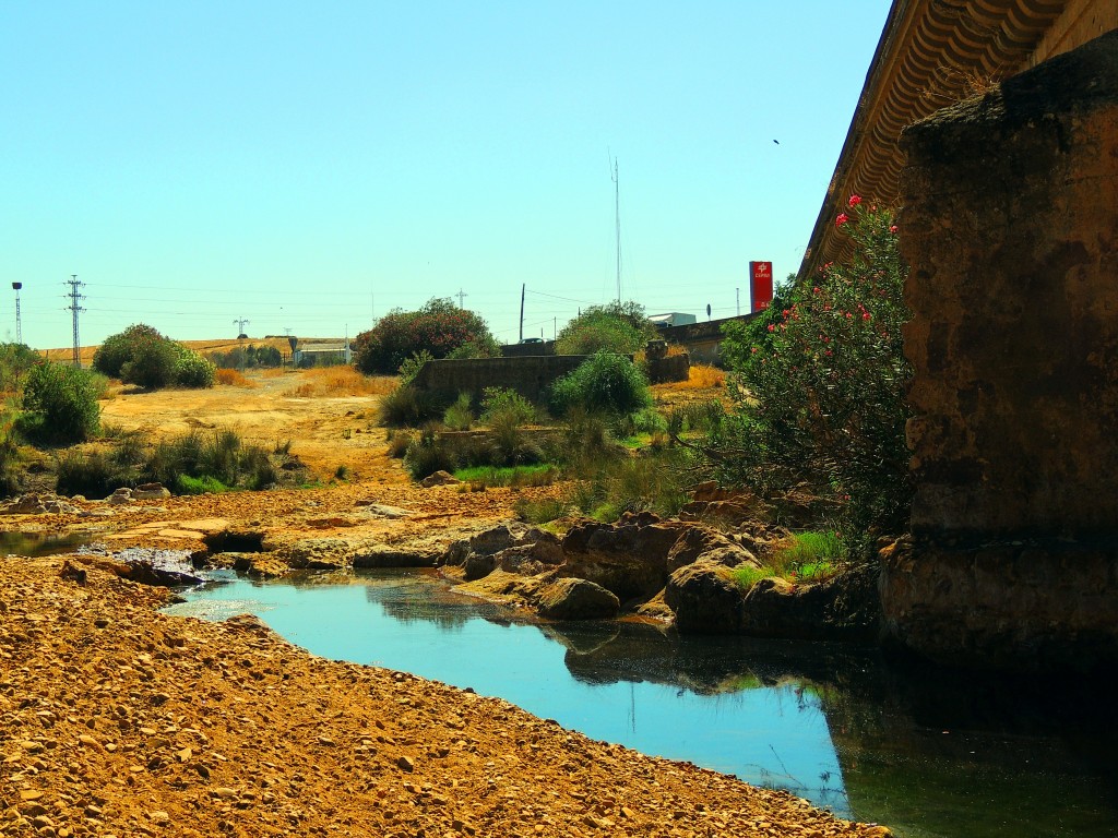 Foto de Niebla (Huelva), España