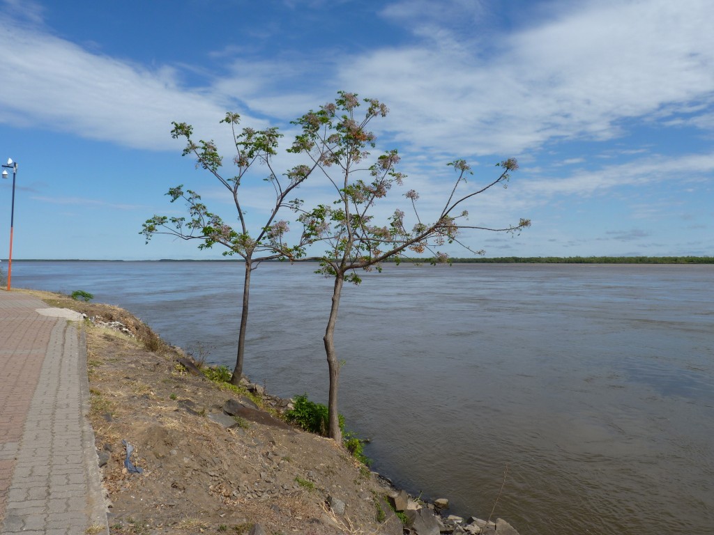 Foto: Paseo de la costanera - La Paz (Entre Ríos), Argentina