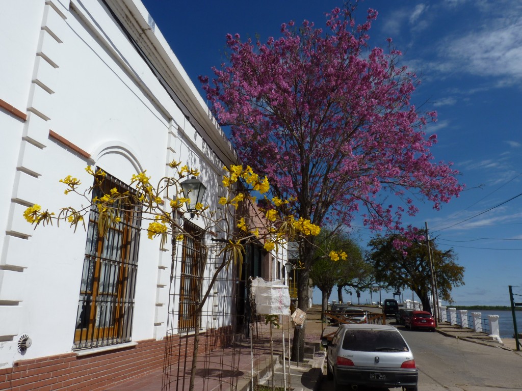 Foto: Puerto - La Paz (Entre Ríos), Argentina