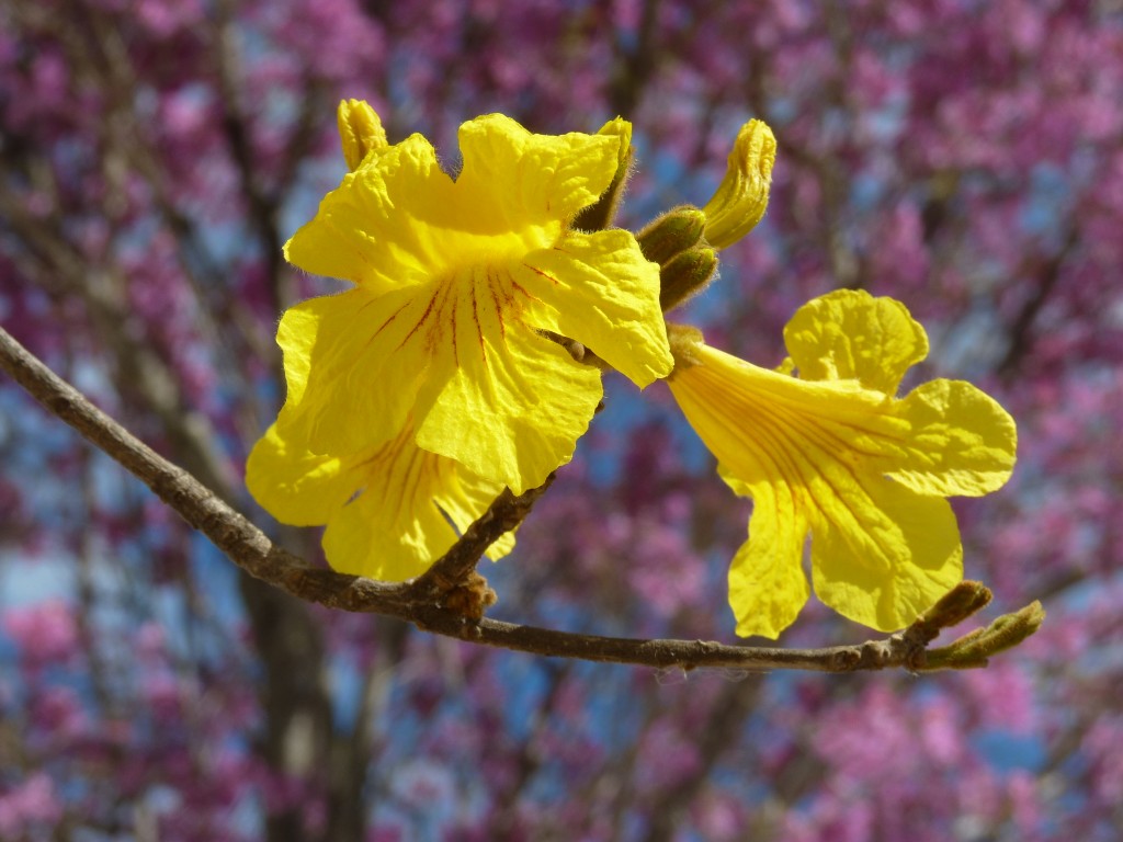 Foto: Puerto - La Paz (Entre Ríos), Argentina