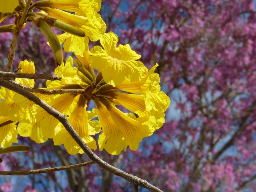 Foto: Puerto - La Paz (Entre Ríos), Argentina
