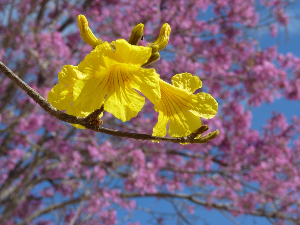 Foto: Puerto - La Paz (Entre Ríos), Argentina