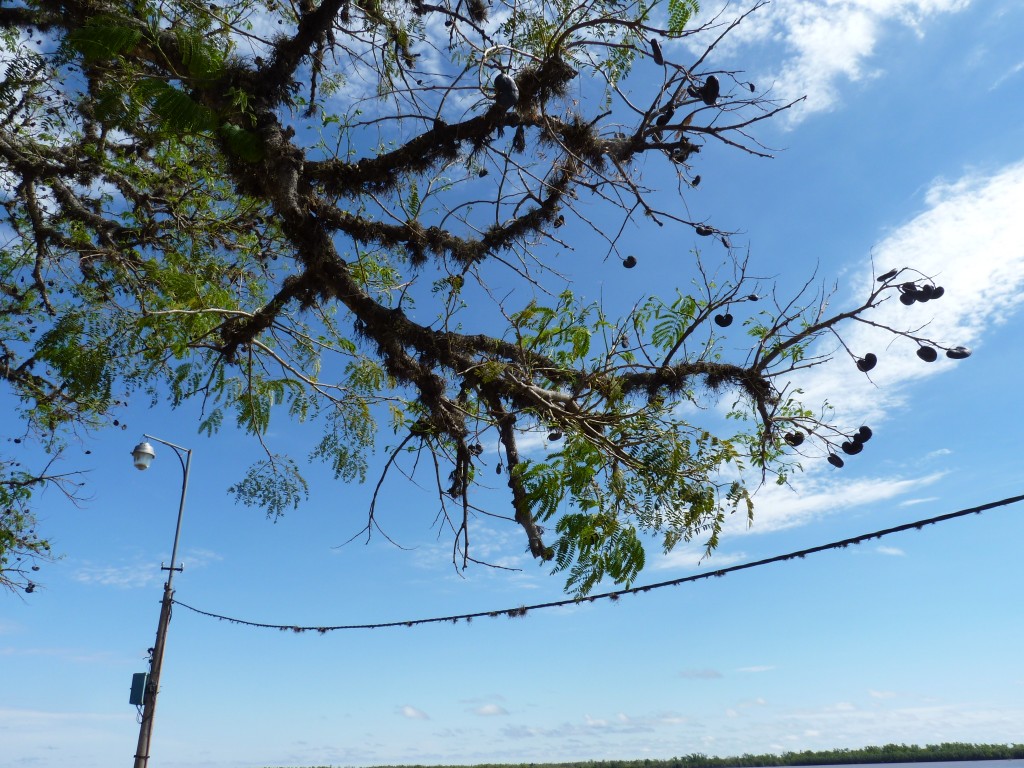 Foto: Paseo costanero - La Paz (Entre Ríos), Argentina