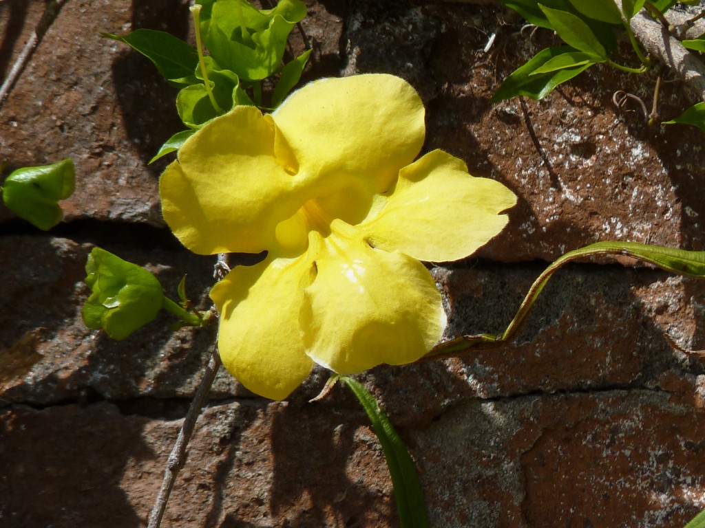 Foto: Paseo costanero - La Paz (Entre Ríos), Argentina
