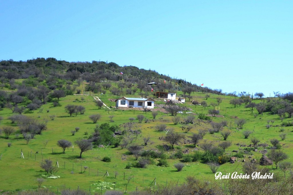 Foto de Coinco (Libertador General Bernardo OʼHiggins), Chile