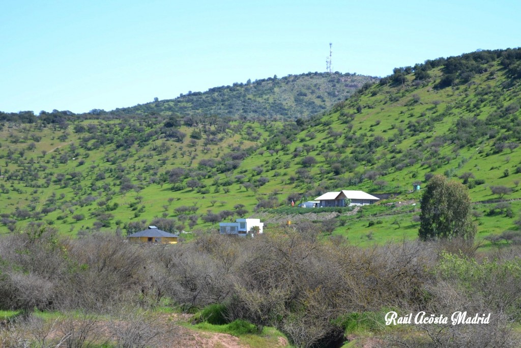 Foto de Coinco (Libertador General Bernardo OʼHiggins), Chile