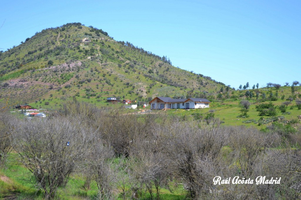 Foto de Coinco (Libertador General Bernardo OʼHiggins), Chile