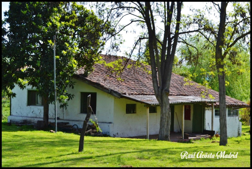 Foto de Coinco (Libertador General Bernardo OʼHiggins), Chile