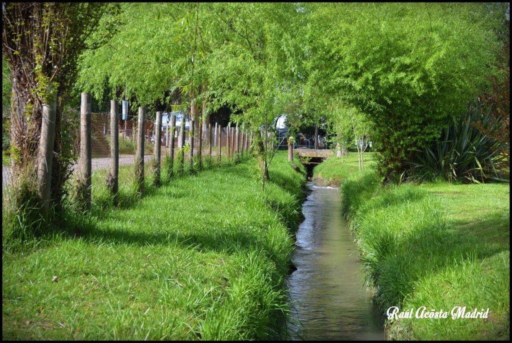 Foto de Coinco (Libertador General Bernardo OʼHiggins), Chile