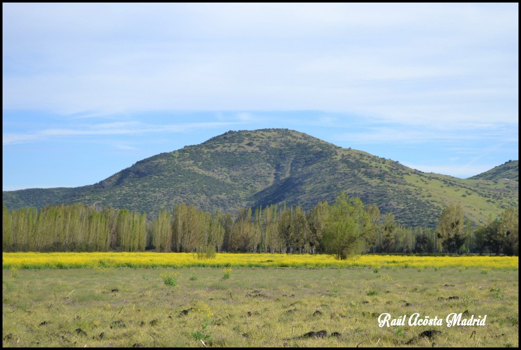 Foto de Coinco (Libertador General Bernardo OʼHiggins), Chile