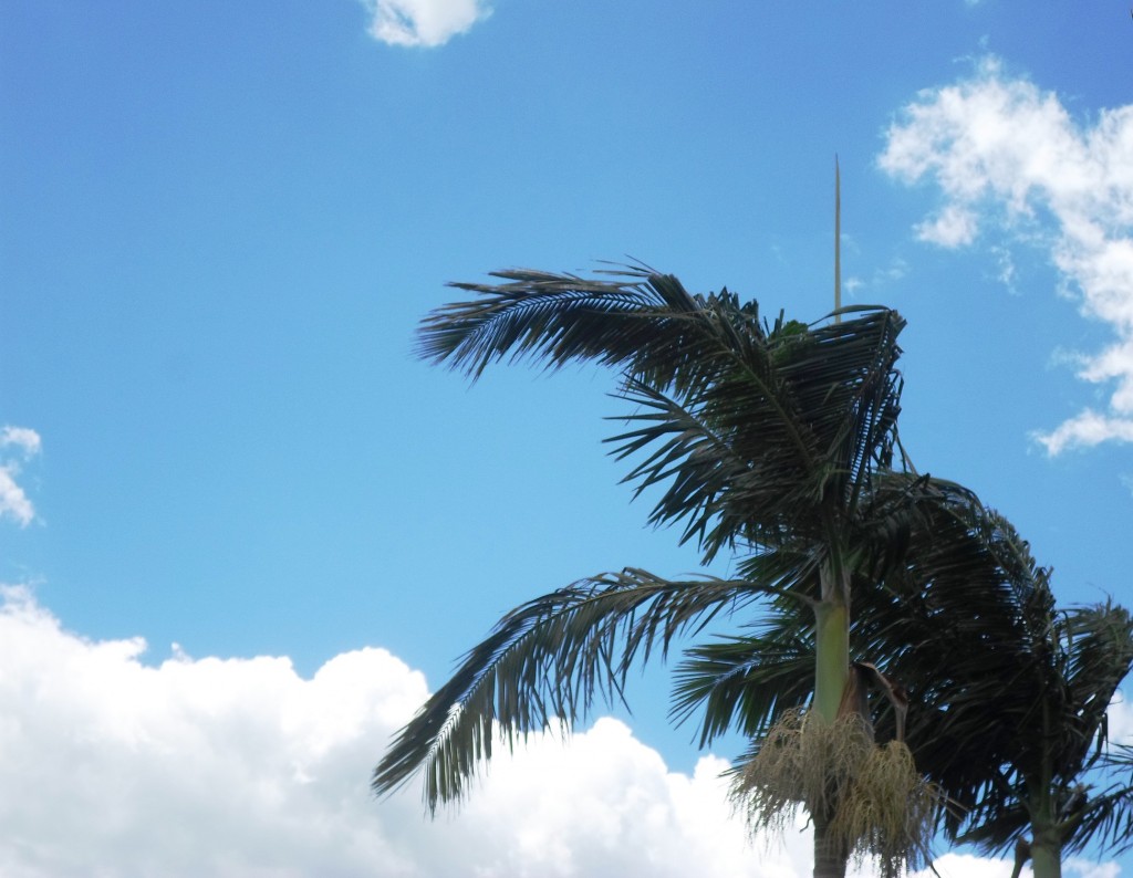 Foto de Sasaima (Cundinamarca), Colombia