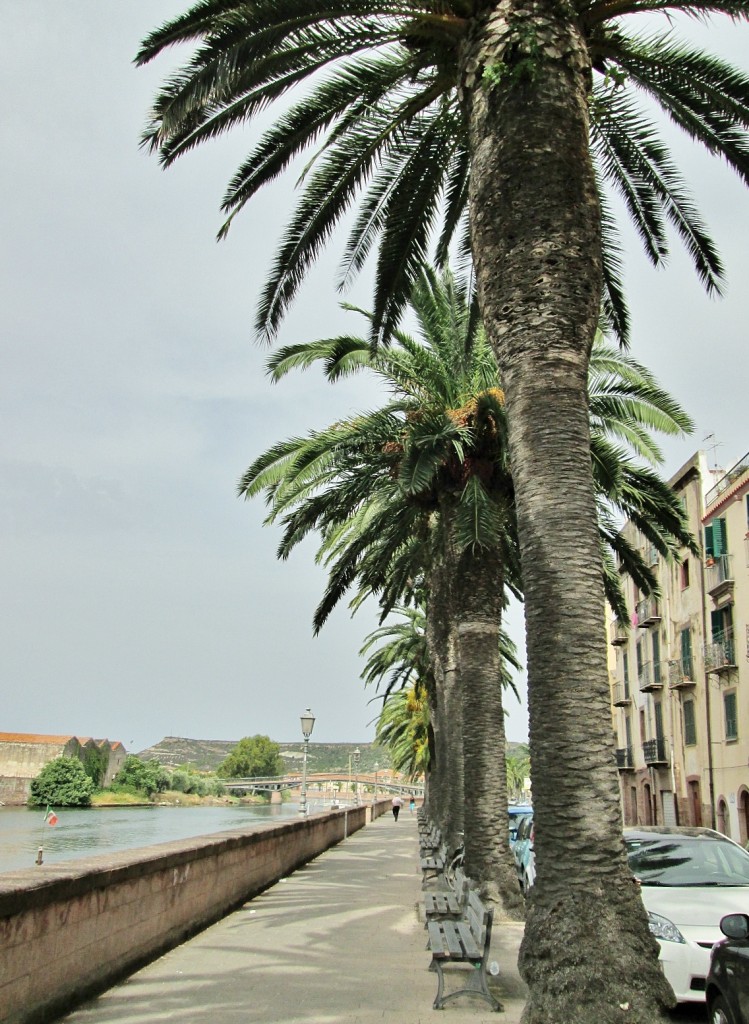Foto: Centro histórico - Bosa (Sardinia), Italia